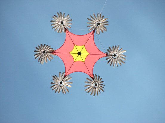 43- Hexaplumes - Joel Goupil w
